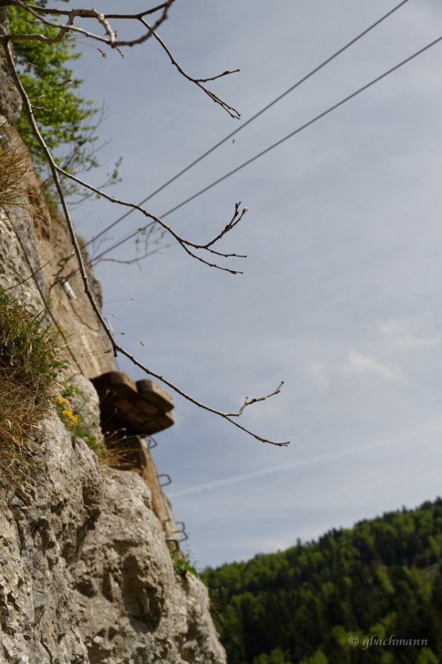 20150507_071